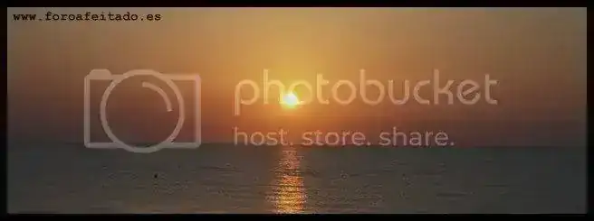 P9041684eferf.webp
