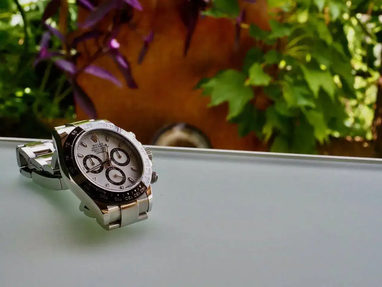 P9091467 (1).webp