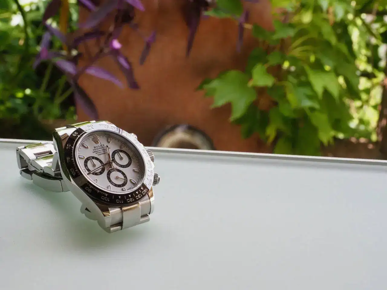 P9091467.webp