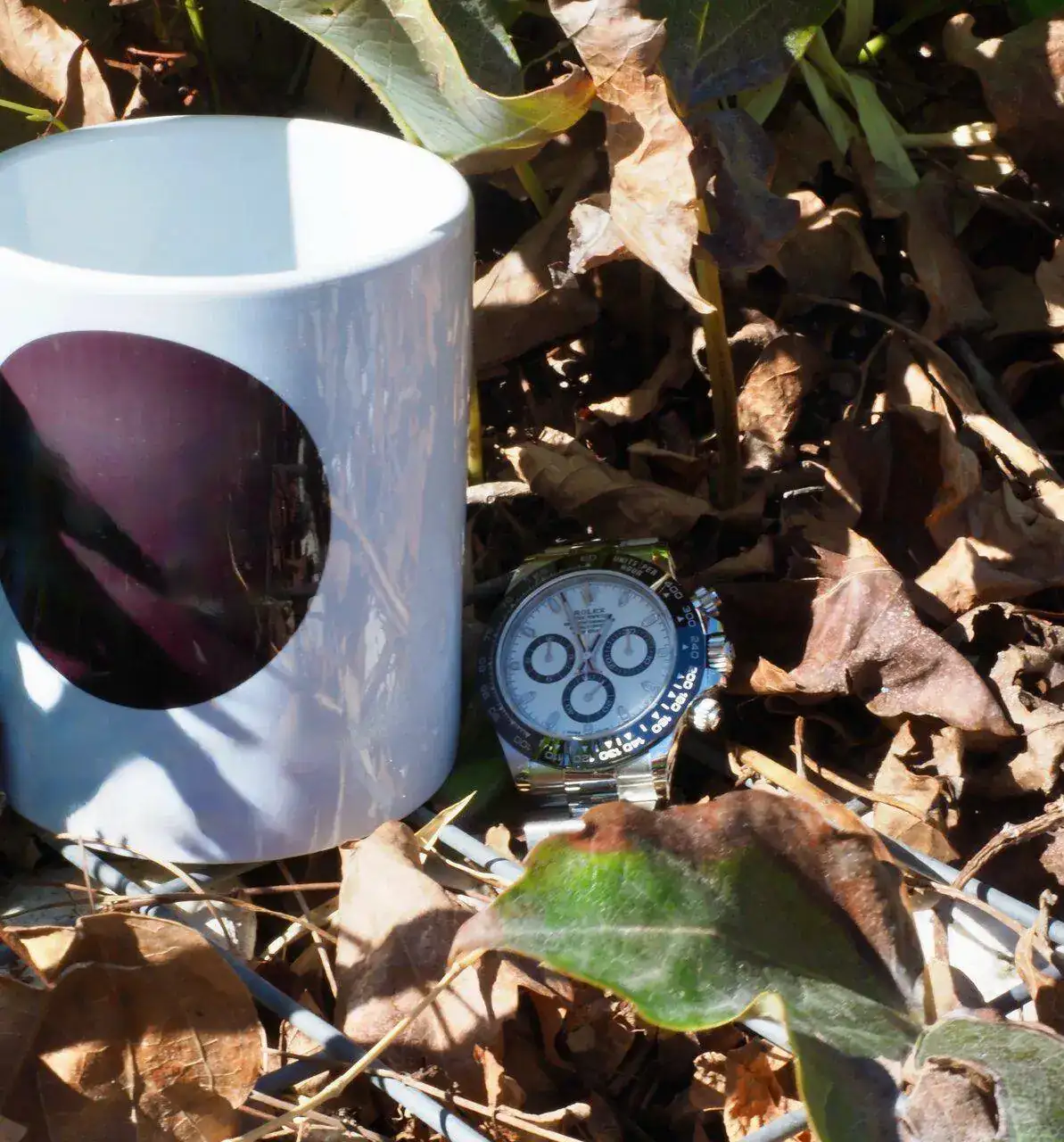 P9261641.webp