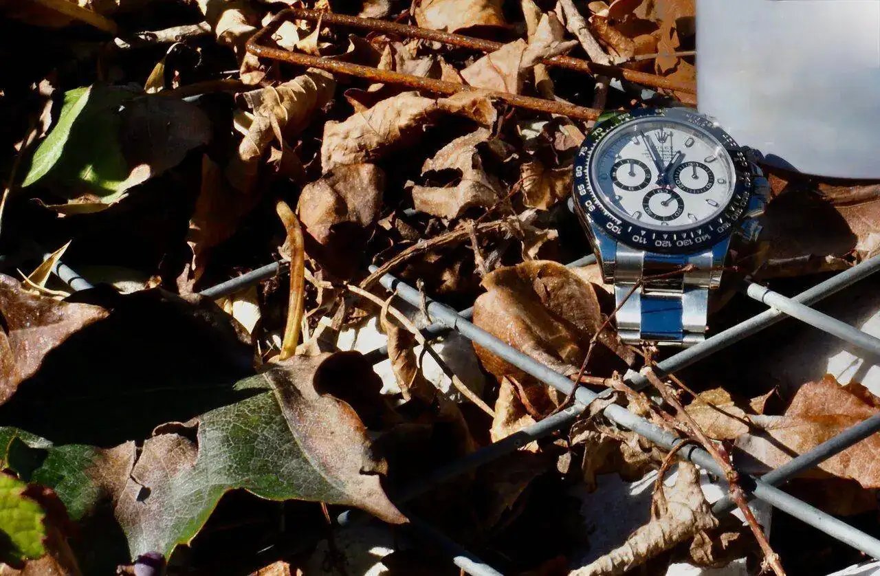 P9261655.webp
