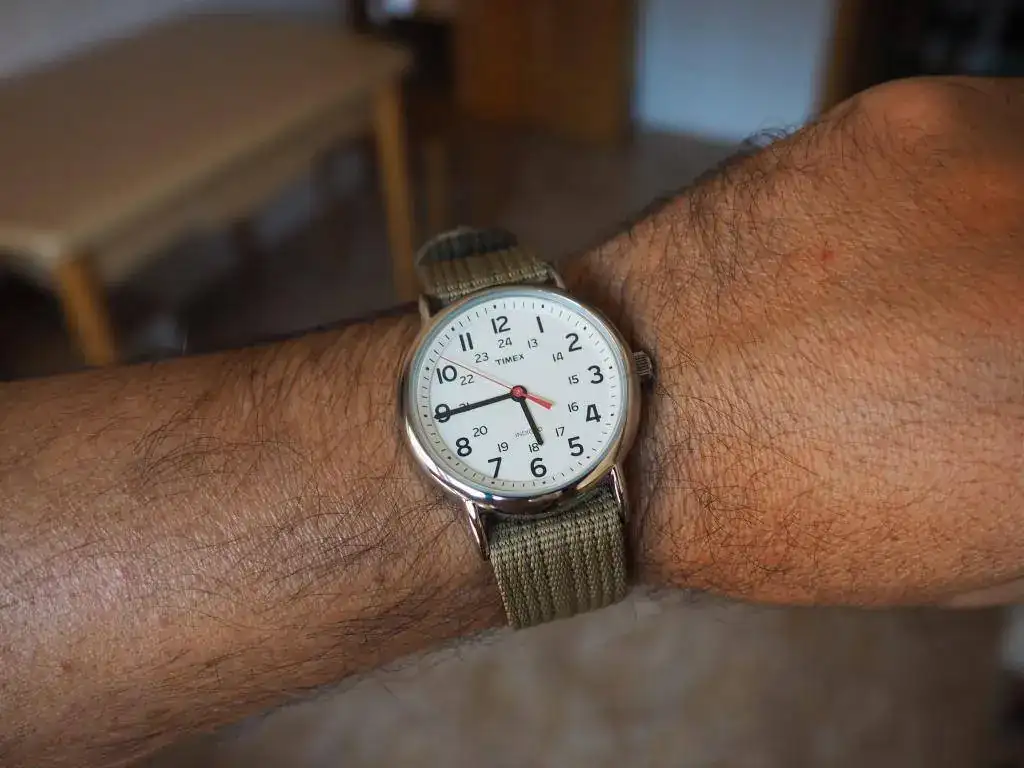 PA051197.webp