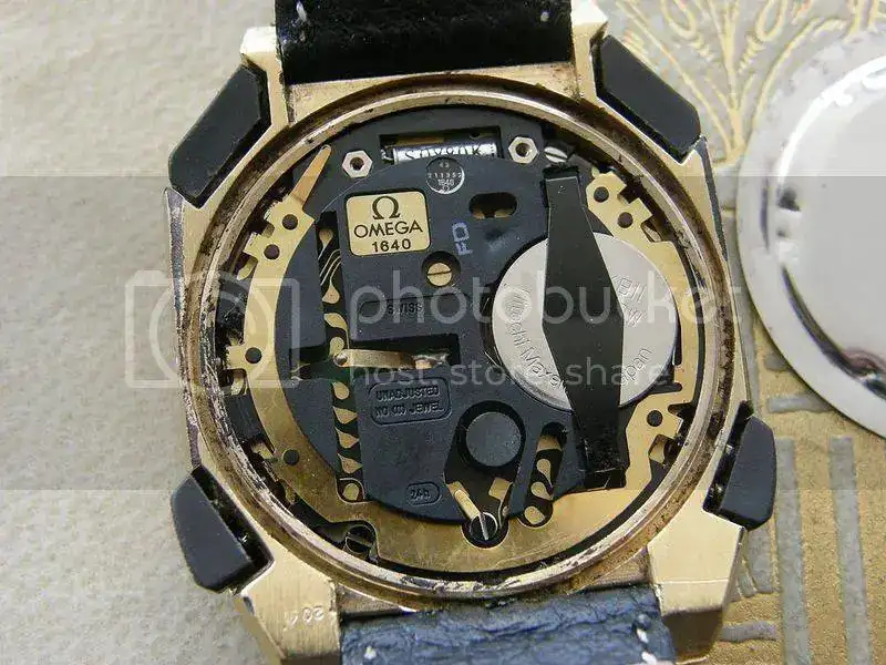 PA090018.webp