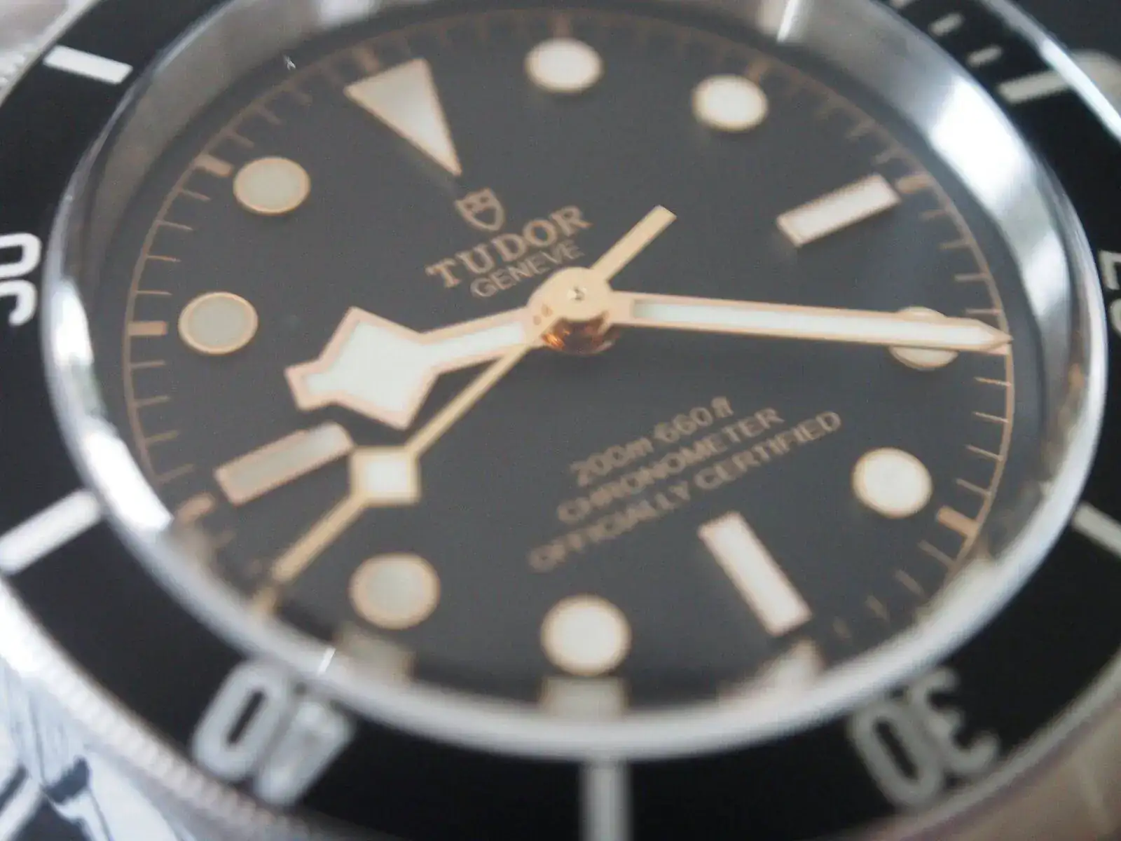 PA110147.webp