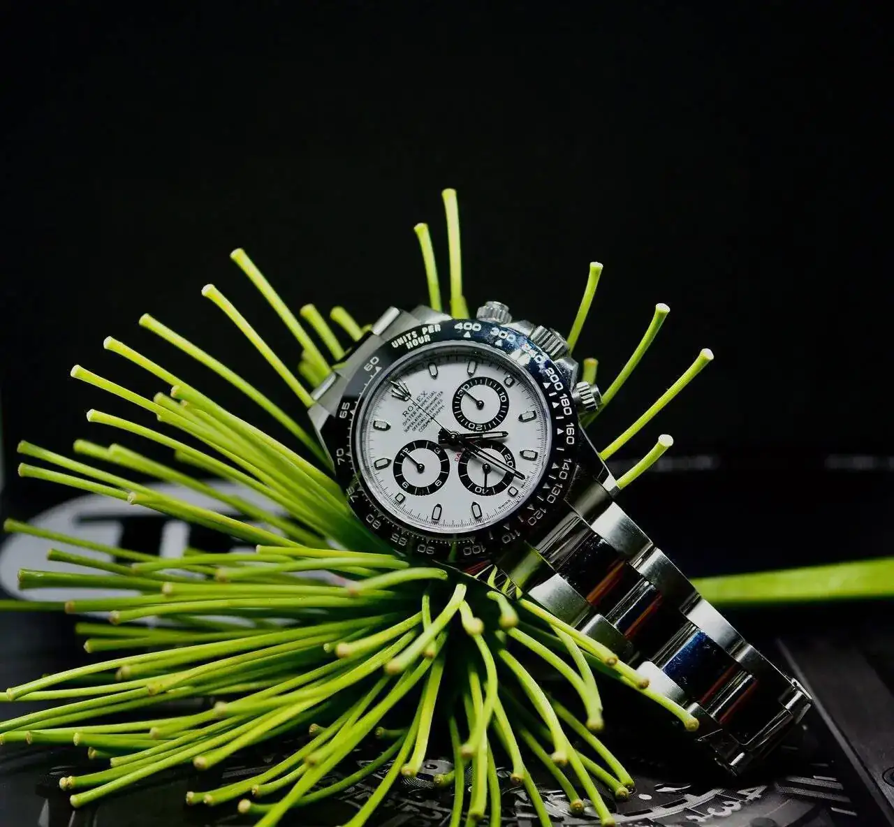 PA181694 (1).webp