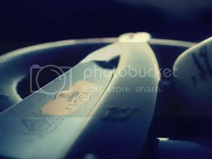 PA210220.webp