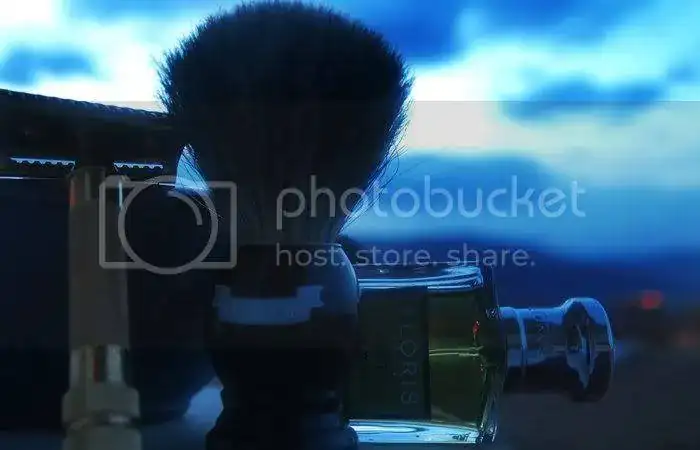 PA230227.webp
