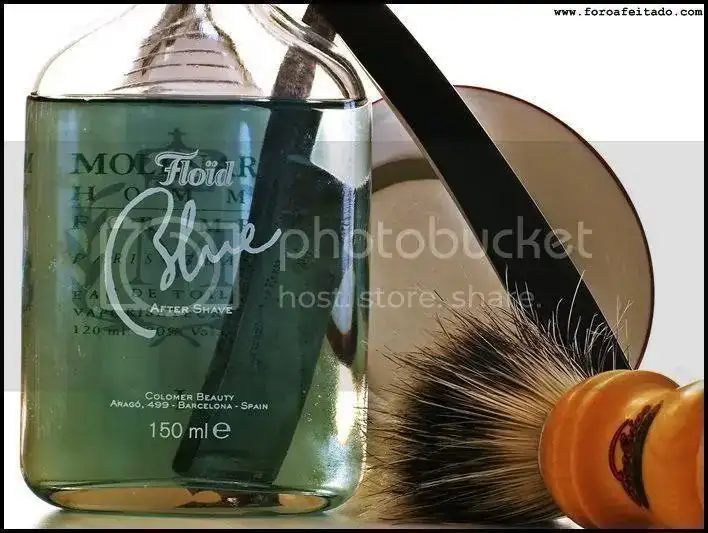 PA231066.webp