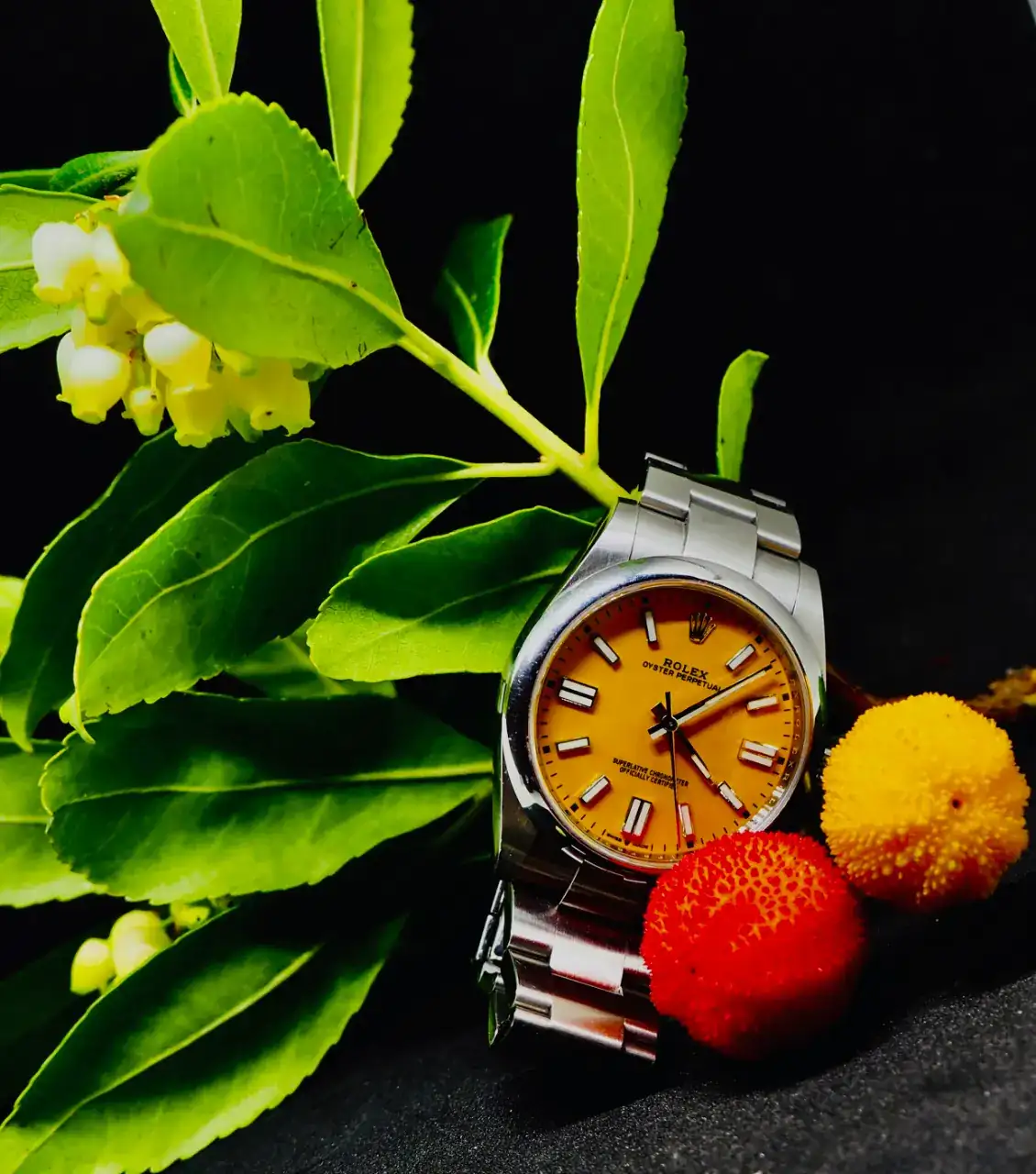 PA251785.webp