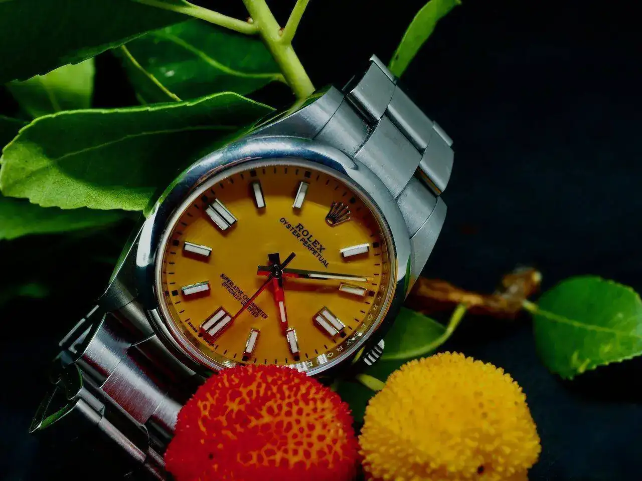PA251790.webp