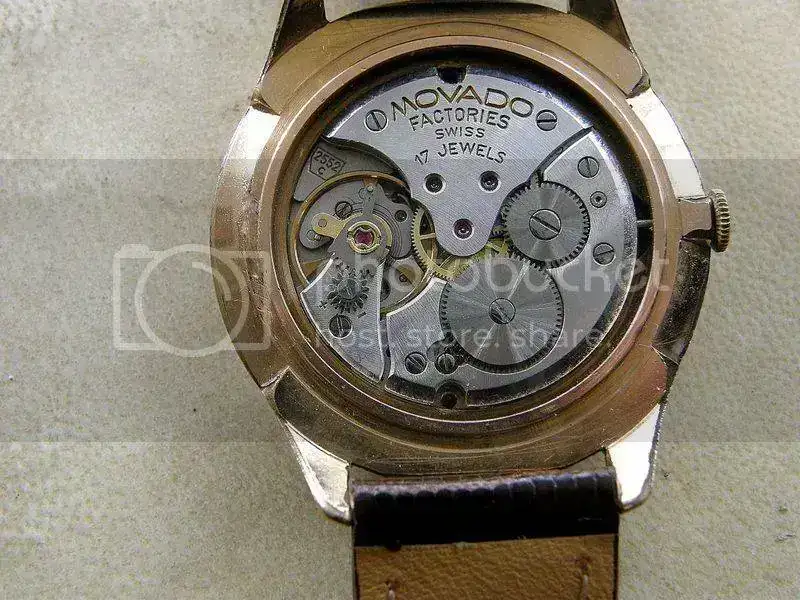 PA260035.webp