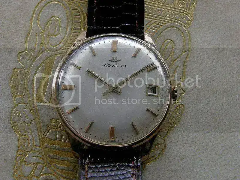 PA260055.webp