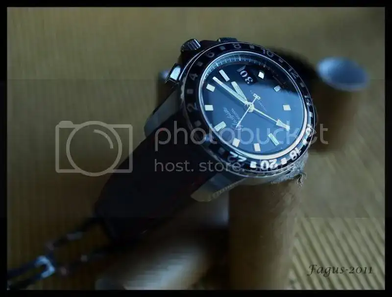 PA307100.webp