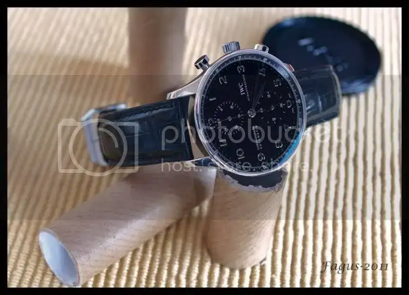 PA307109.webp
