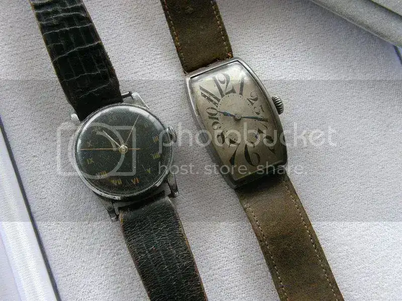 PA310003.webp