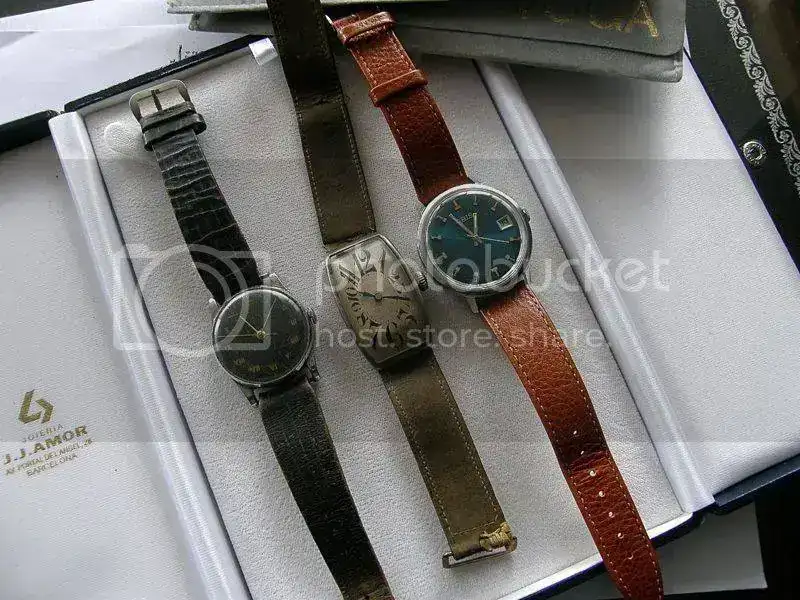 PA310004.webp