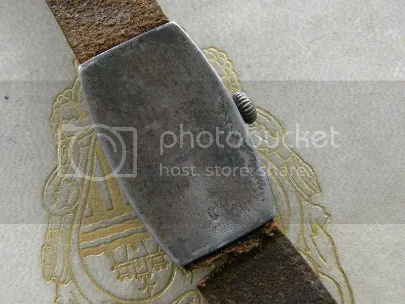 PA310007.webp