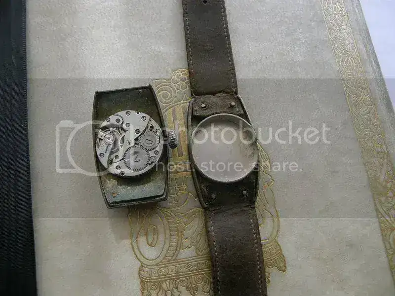 PA310016.webp