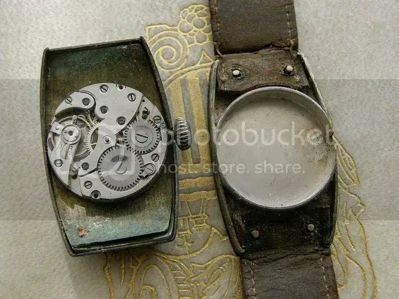 PA310020.webp