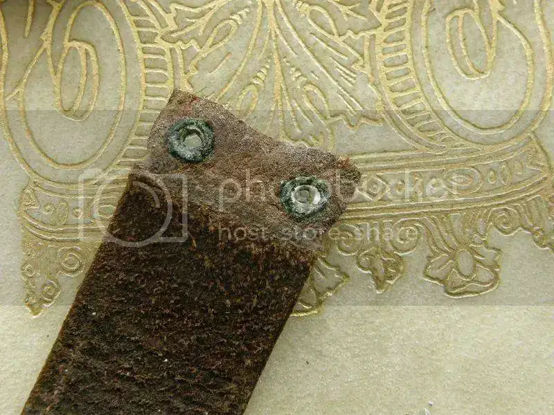 PA310023.webp