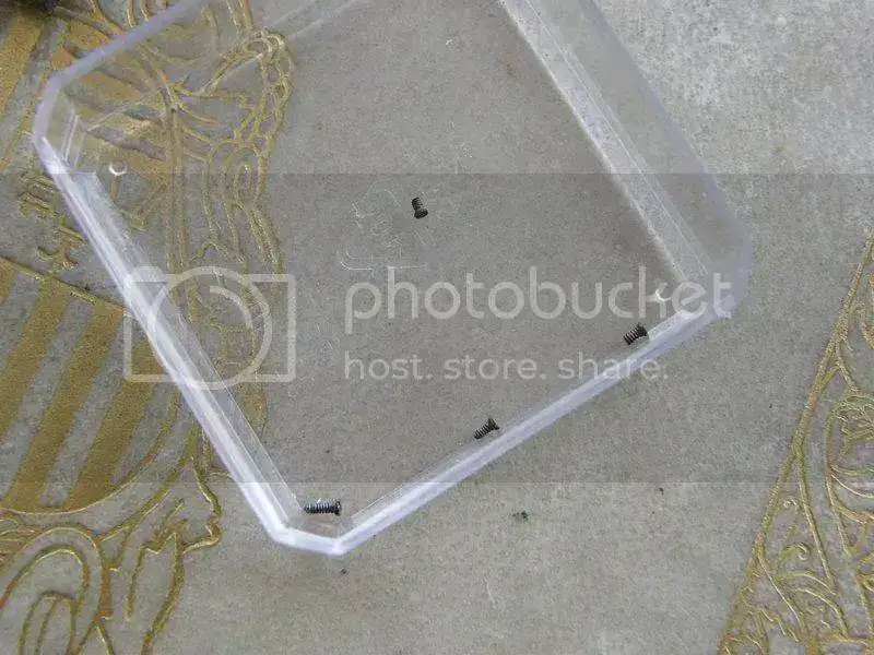 PA310029.webp