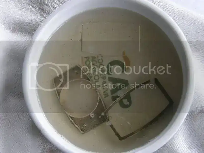 PA310032.webp