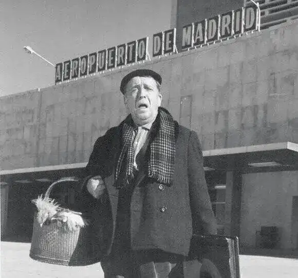 Paco.webp