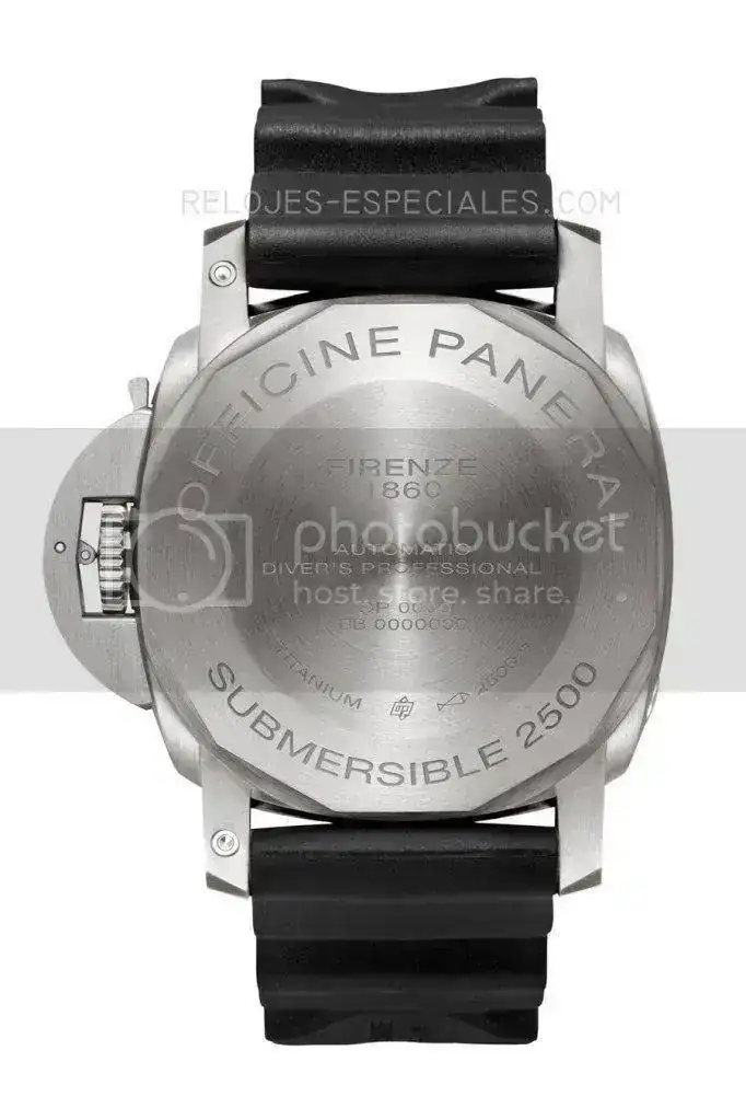 PAM00364BACK.webp