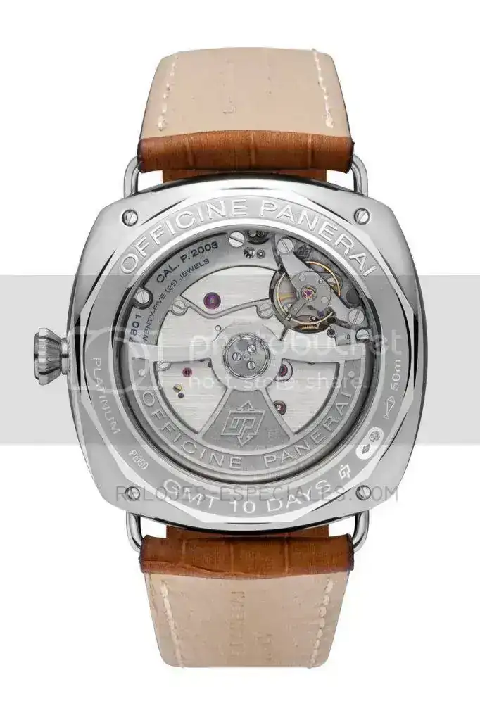 PAM00495BACK.webp