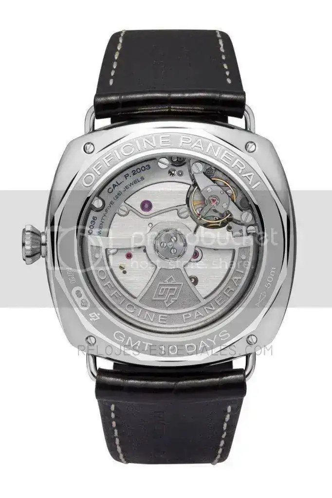 PAM00496BACK.webp