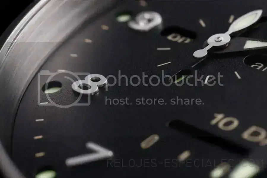 PAM00496detail.webp