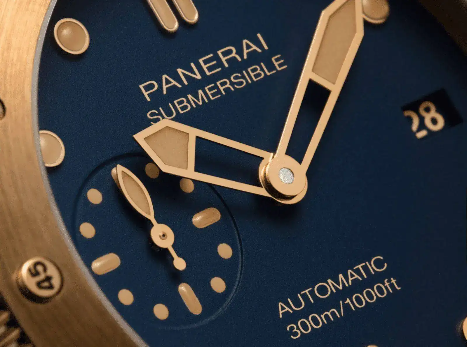 Pam1074_1.jpg