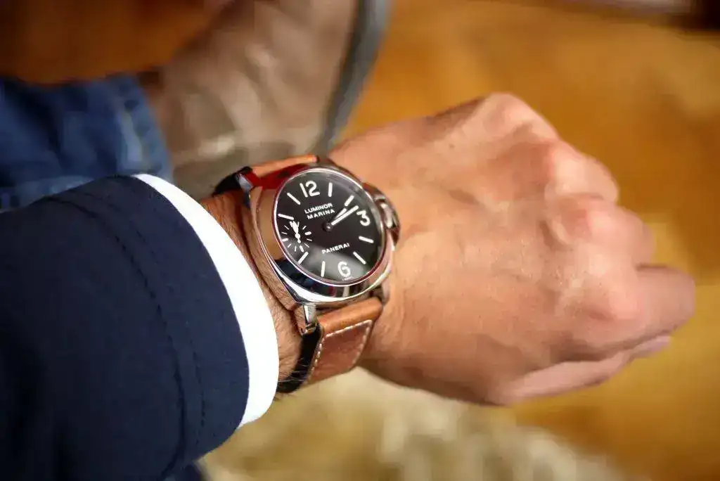 pam111ansteinhartcomp.webp