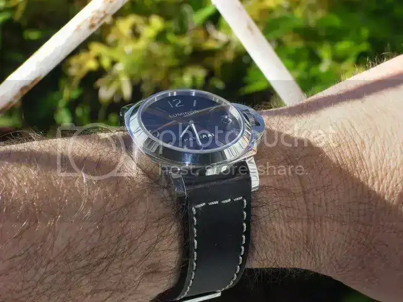 Pam112-03.webp