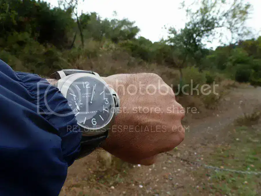 PAM118.webp