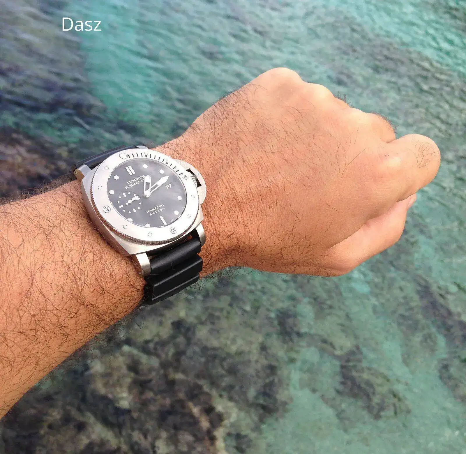 Pam305.webp