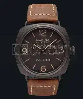 pam339.webp