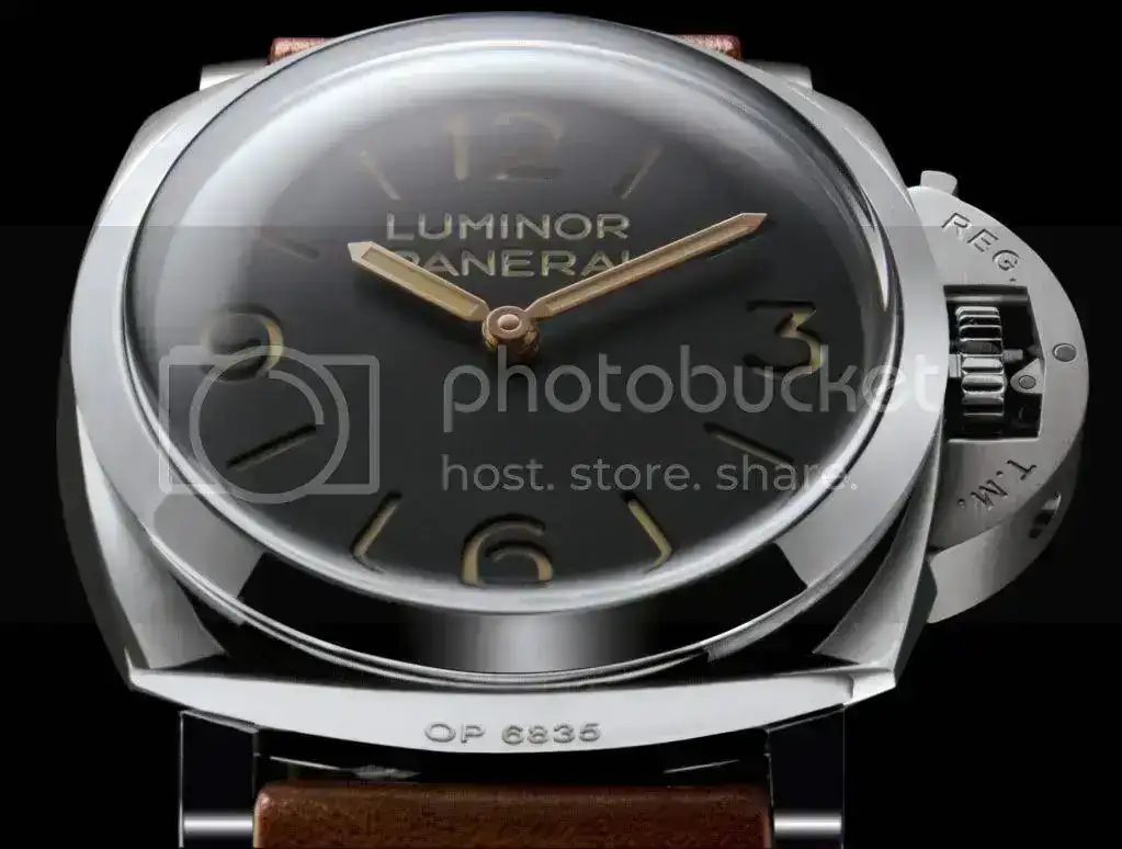 PAM372oficialpic.webp