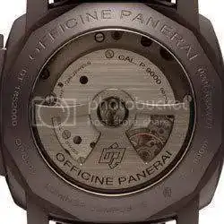 Pam386_Cat_Fond_2p.webp