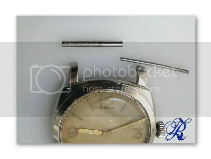 pan_e_023.webp