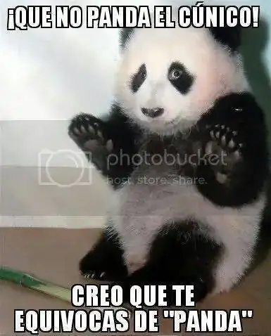 Panda%20meme_zpsn2a6ng6r.webp