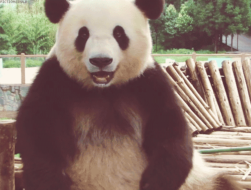 panda-45.gif