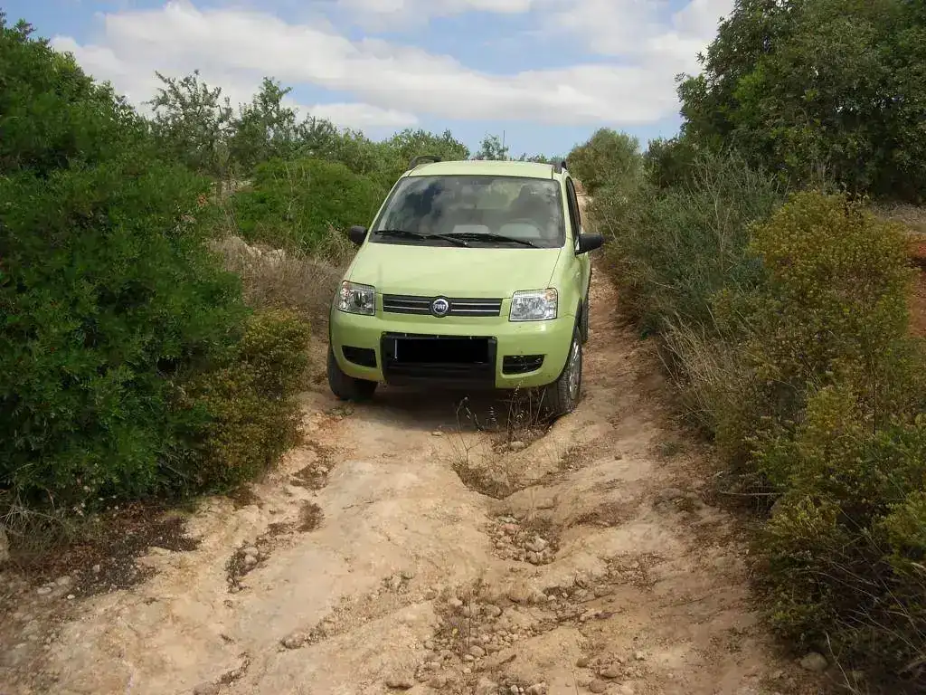 panda4x400.webp