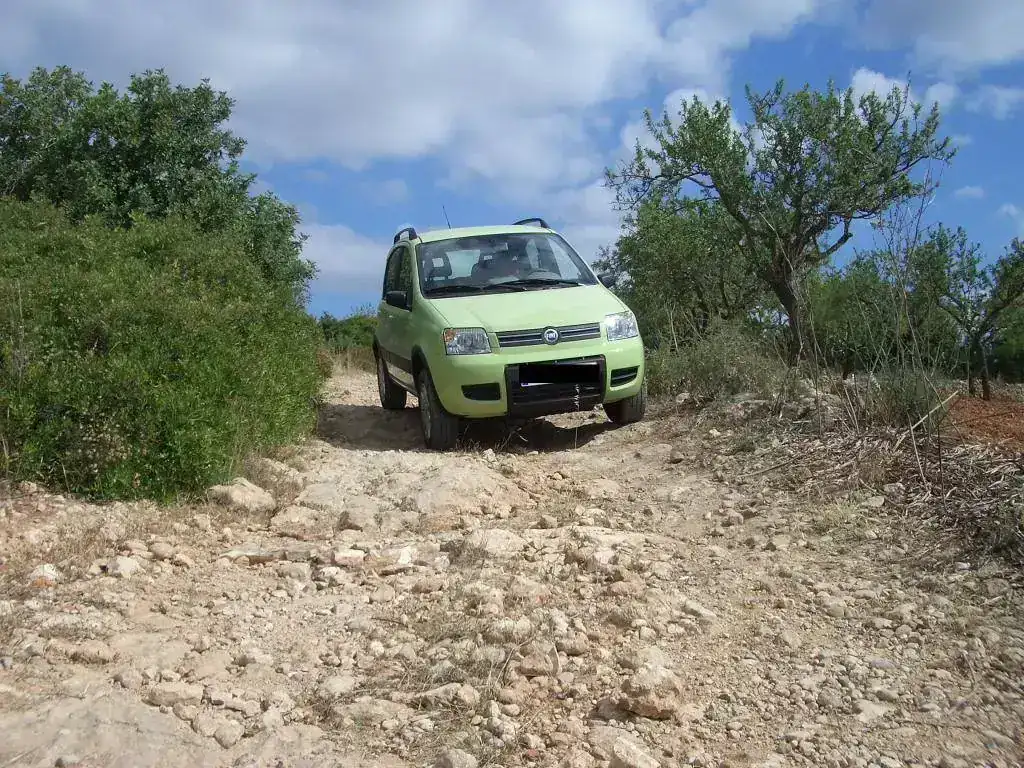 panda4x401.webp
