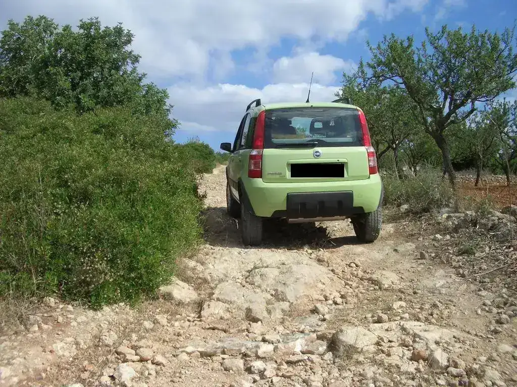 panda4x402.webp