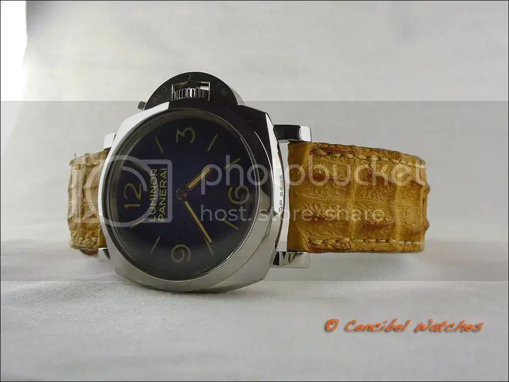 Panerai%20PAM372%20foto%2010_zpsfnqsy2rh.webp