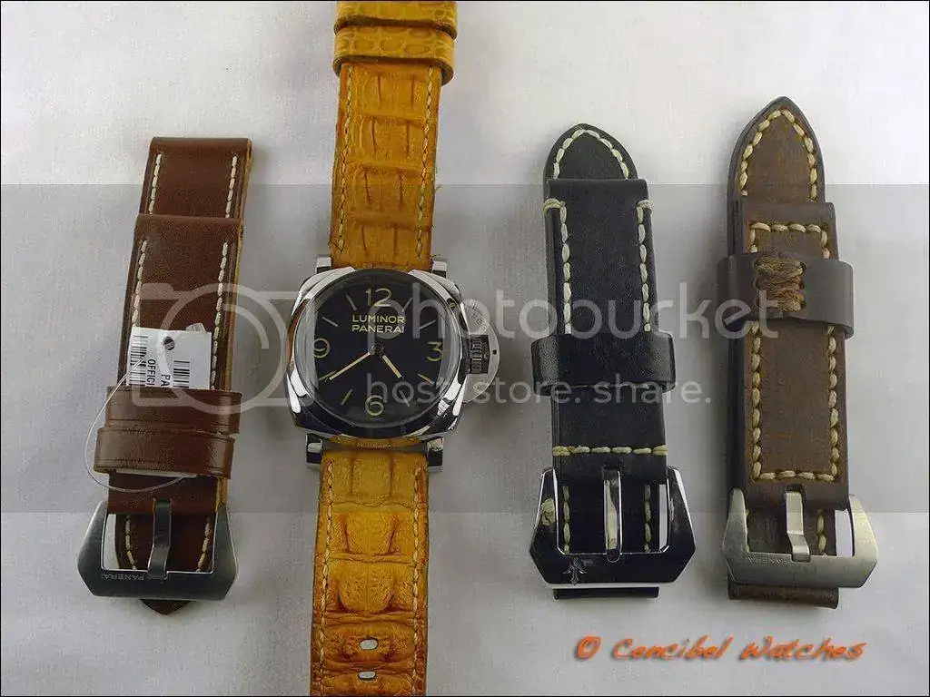 Panerai%20PAM372%20foto%207_zps14jek3tm.webp