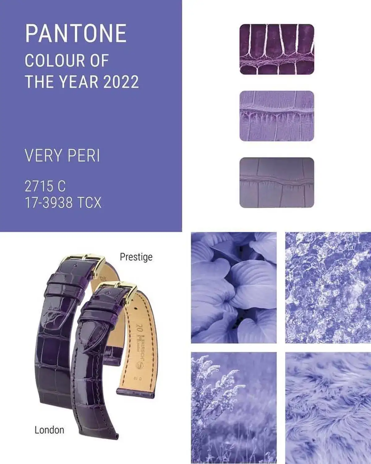 Pantone 2022.JPG