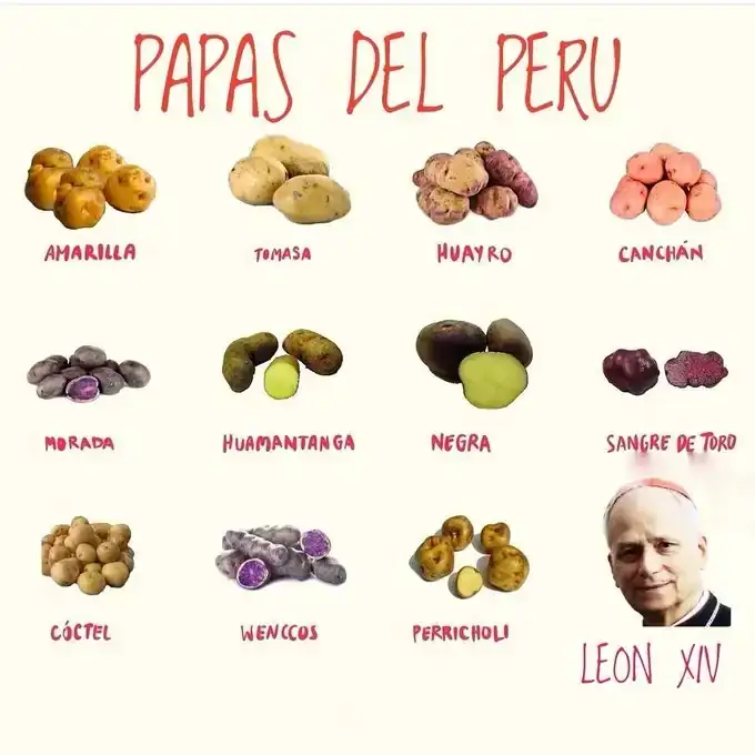 Papas del perú.webp