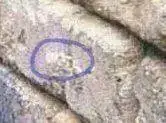 pared.webp